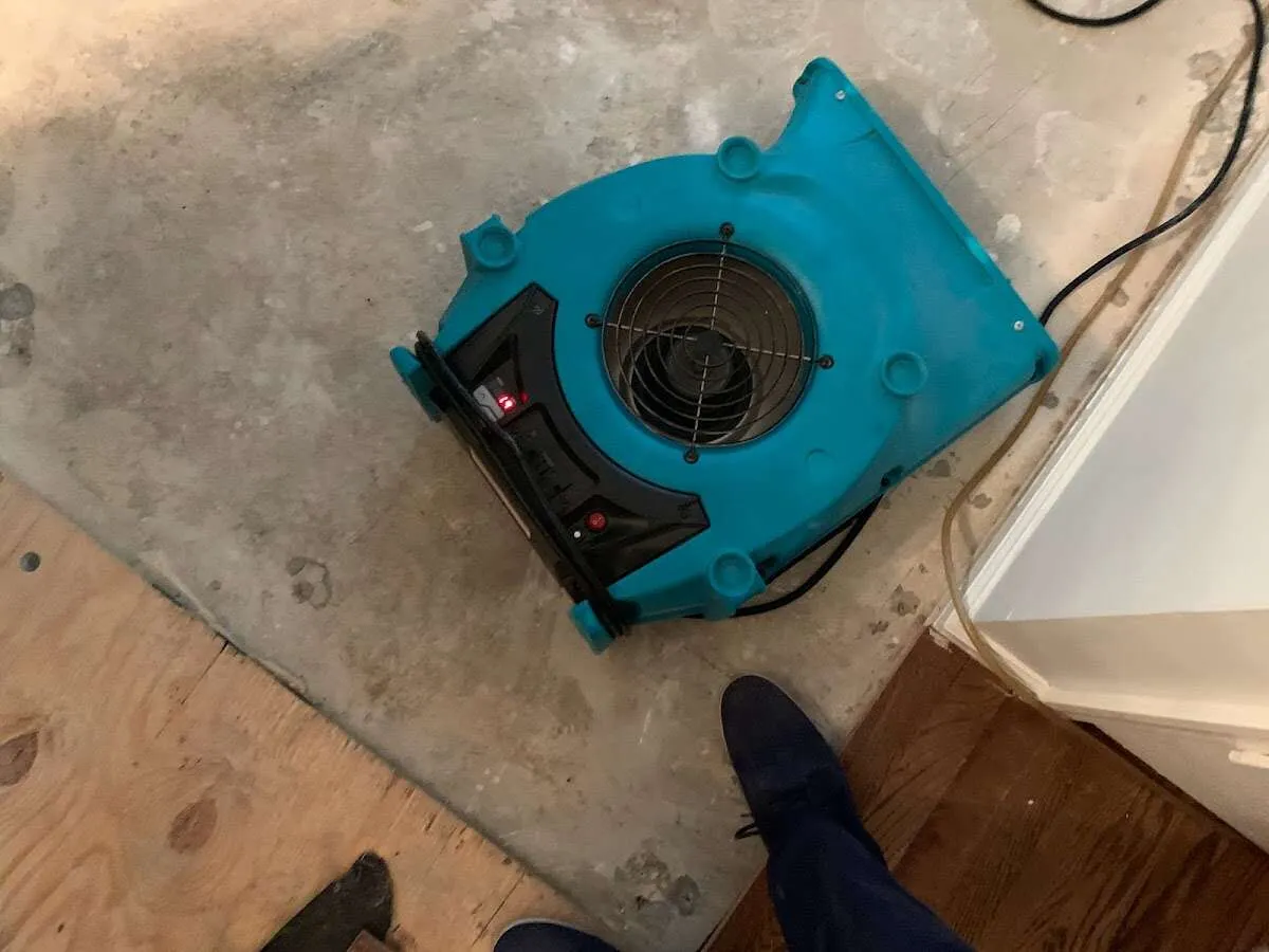 Air mover drying subfloor during Leak Detection & Repair in Roseville